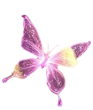 papillon rose